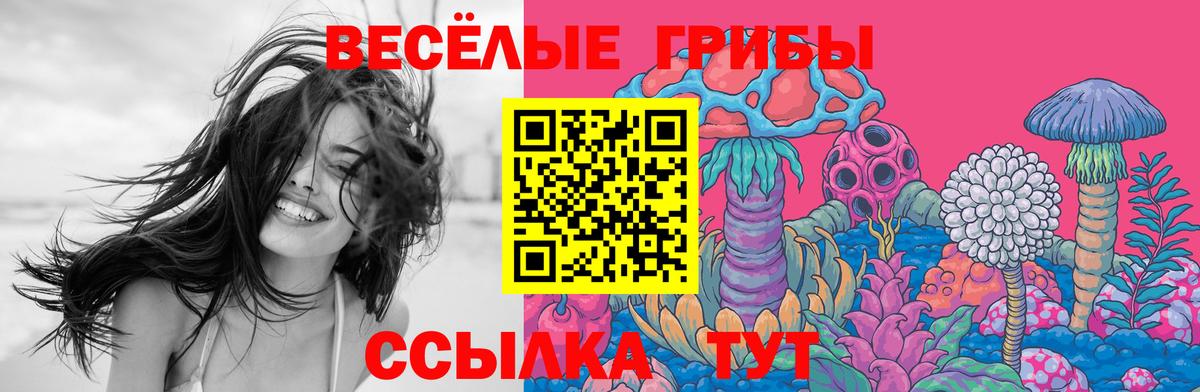 Реутов  Псилоцибиновые грибы Cubensis  Вход с VPN 